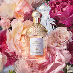 75 ML GUERLAIN AQUA ALLEGORIA ROSA ROSSA GUE AA ROSA ROSSA EDT R/SPR 75ML  3 of 4 GUE AA ROSA ROSSA EDT R/SPR 75ML