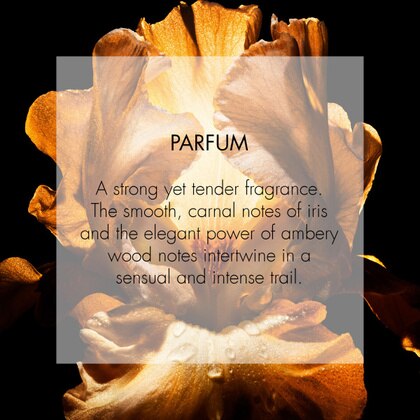 Parfém