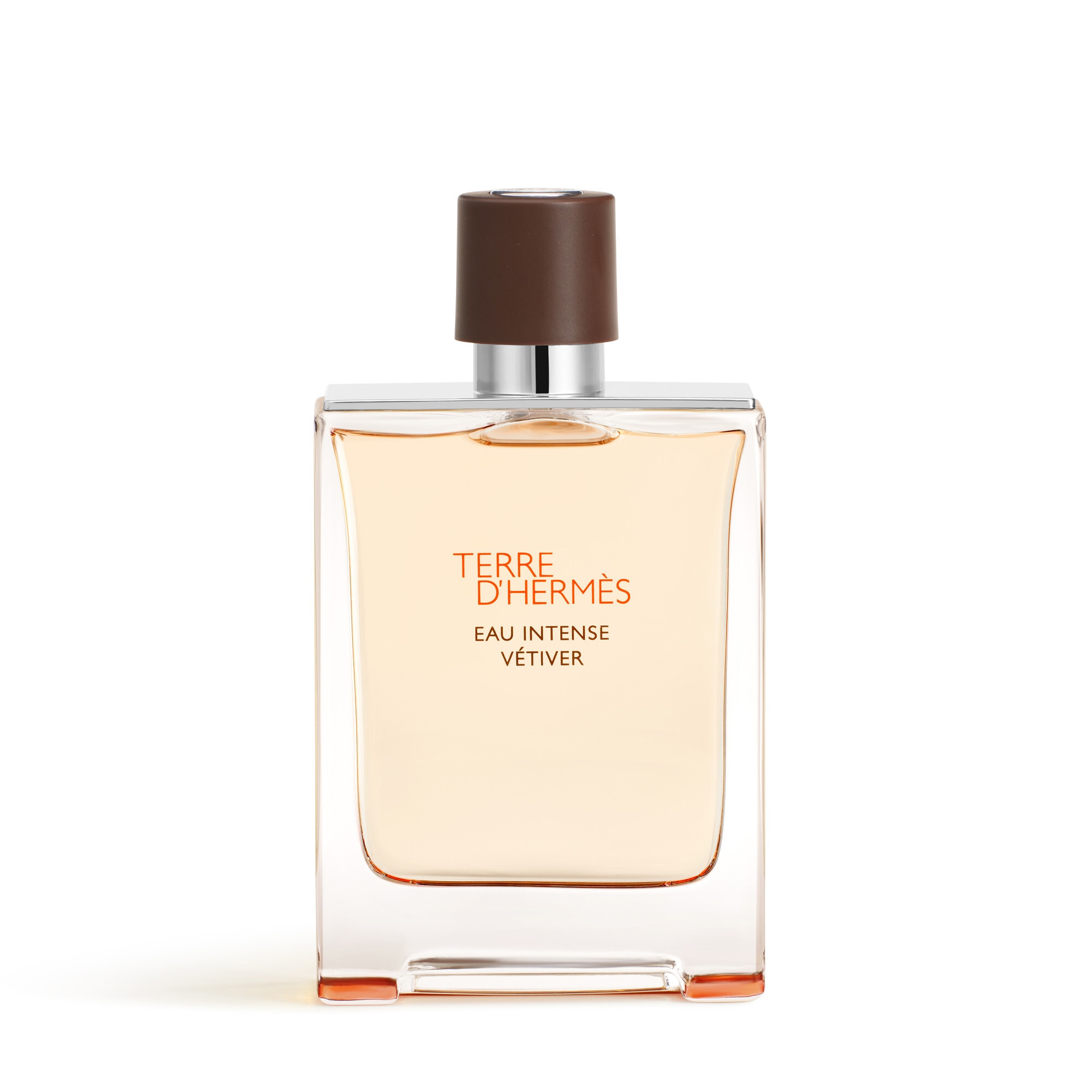 100 ML Hermès TERRE D´HERMÈS EAU INTENSE VÉTIVER Parfémovaná voda pro muže 1 of 4 Parfémovaná voda pro muže