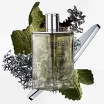 50 ML Hermès H24 Parfémovaná voda pro muže 2 of 5 Parfémovaná voda pro muže