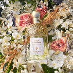 75 ML GUERLAIN AQUA ALLEGORIA NEROLIA VETIVER Toaletní voda pro ženy 2 of 3 Toaletní voda pro ženy