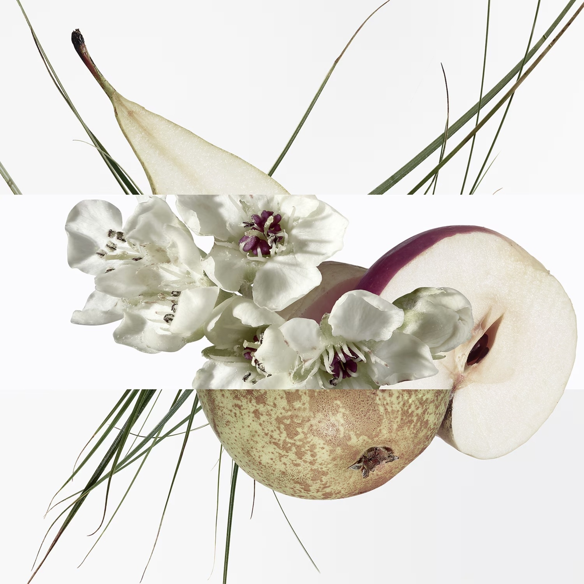 Toaletní voda unisex