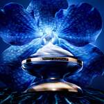 50 ML GUERLAIN ORCHIDÉE IMPÉRIALE THE LONGEVITY RICH CREAM Krém proti stárnutí pleti  2 of 8 Krém proti stárnutí pleti