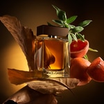 50 ML Dolce & Gabbana THE ONE POUR HOMME Parfémovaná voda 2 of 7 Parfémovaná voda