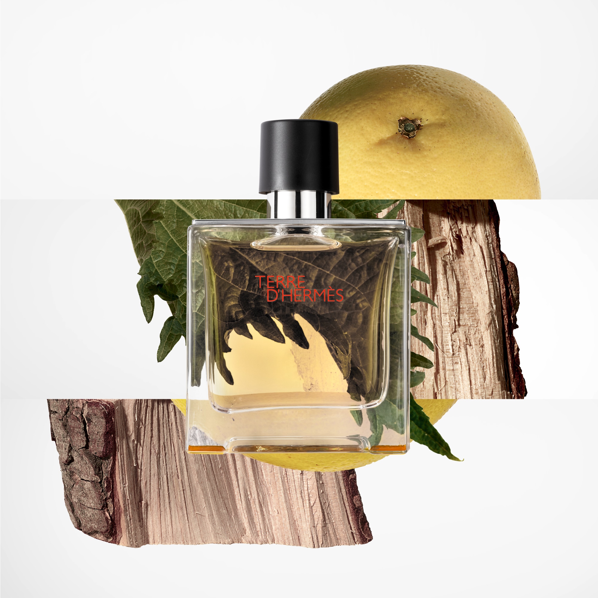 75 ML Hermès TERRE D'HERMÈS PARFUM Parfémovaná voda pro muže  1 of 3 