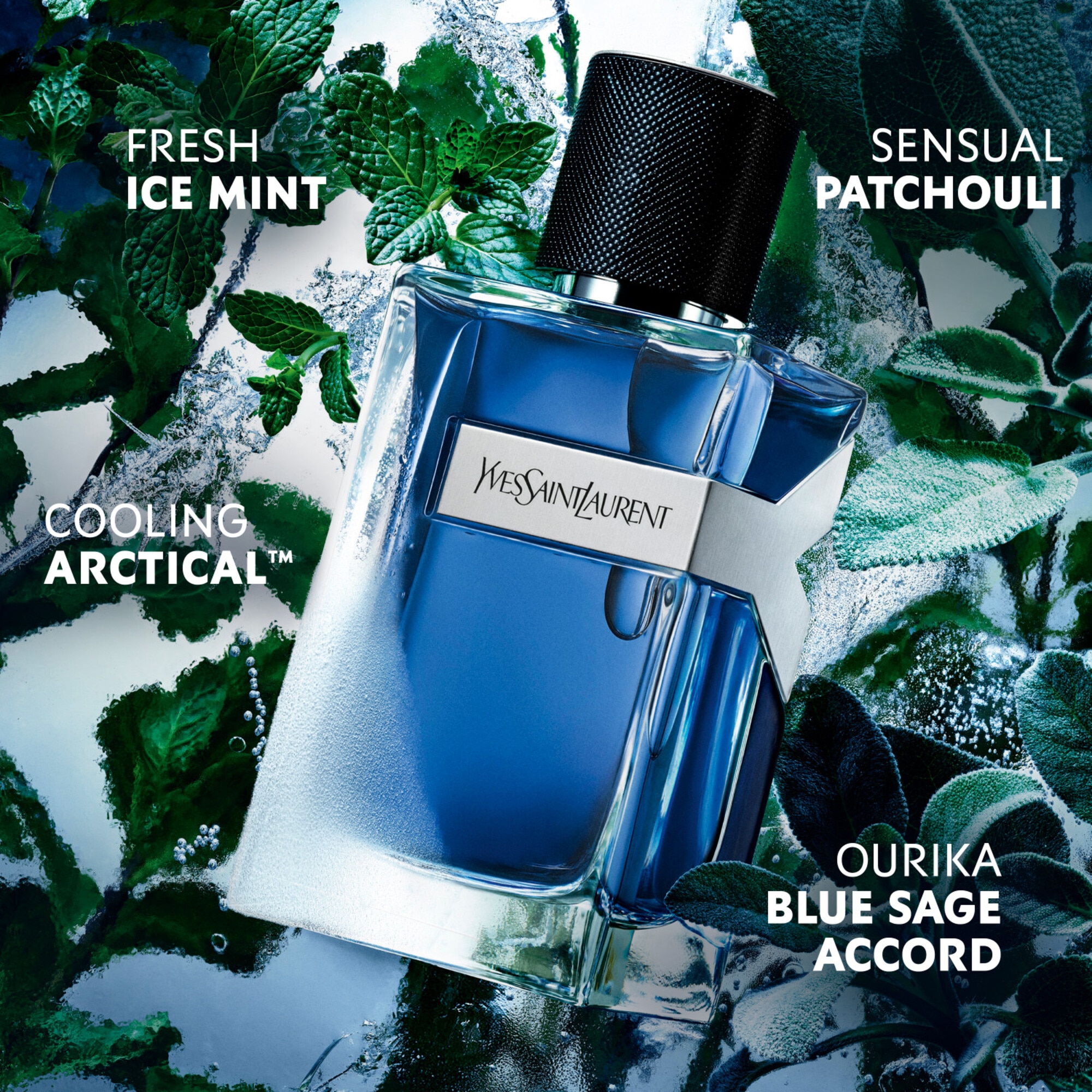 100 ML Yves Saint Laurent Y ICED COLOGNE Parfémovaná voda 1 of 5