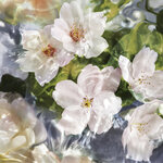 75 ML GUERLAIN AQUA ALLEGORIA FLORA CHERRYSIA GUE AA FLORA CHERRYSIA EDT R/SPR 75ML 3 of 4 GUE AA FLORA CHERRYSIA EDT R/SPR 75ML