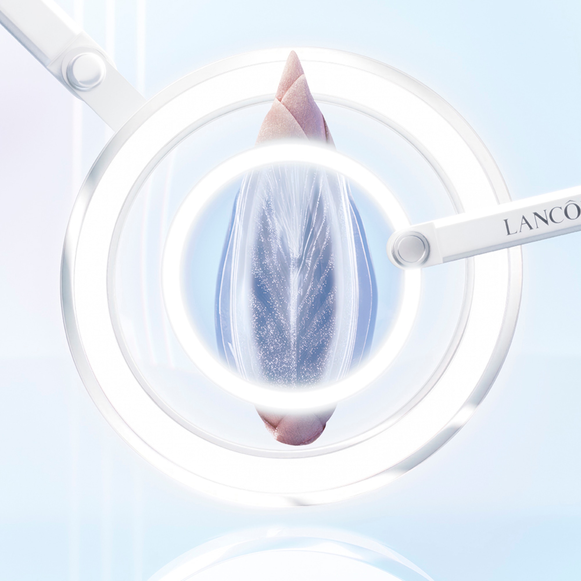 Rozjasňující esence