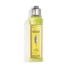 250 ML L'OCCITANE VERBENA CITRUS Osvěžující šampon Verbena Citrus 1 of 1 Osvěžující šampon Verbena Citrus