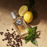 50 ML Dolce & Gabbana DEVOTION FOR MEN Parfémovaná voda 2 of 5 Parfémovaná voda