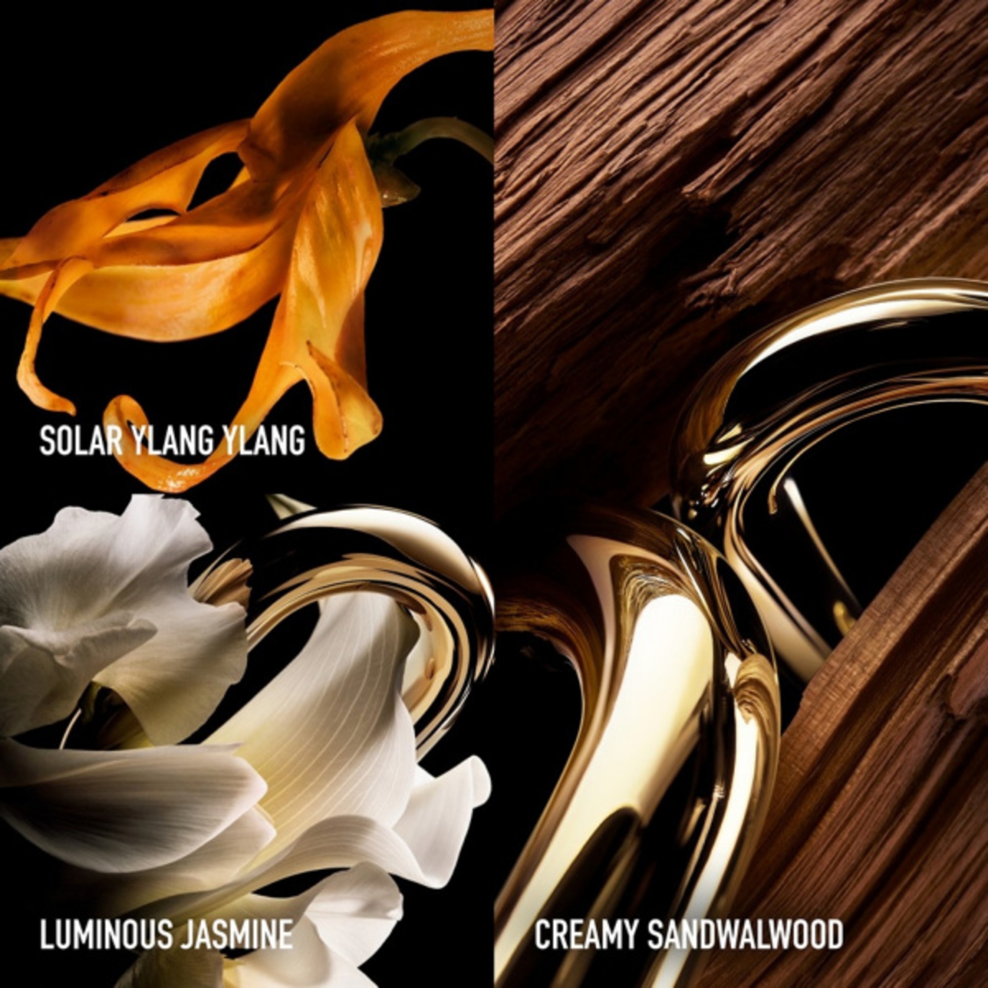 90 ML RABANNE MILLION GOLD FOR HER Parfém 1 of 5