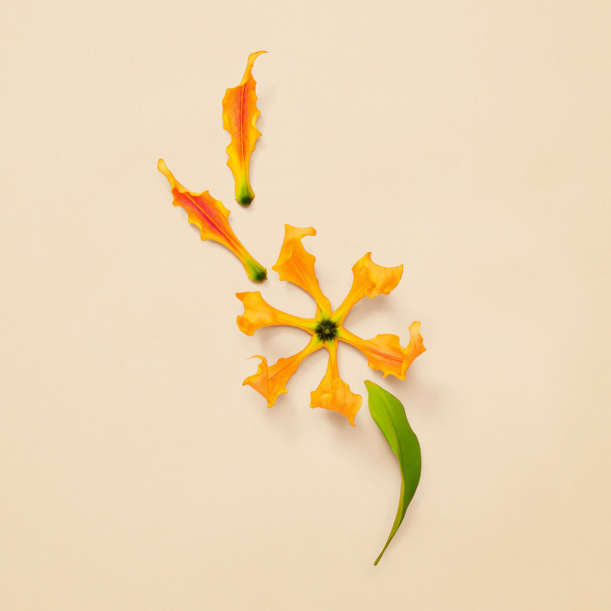 Parfémovaná voda pro ženy