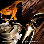 30 ML RABANNE MILLION GOLD FOR HER Parfém 2 of 5 Parfém