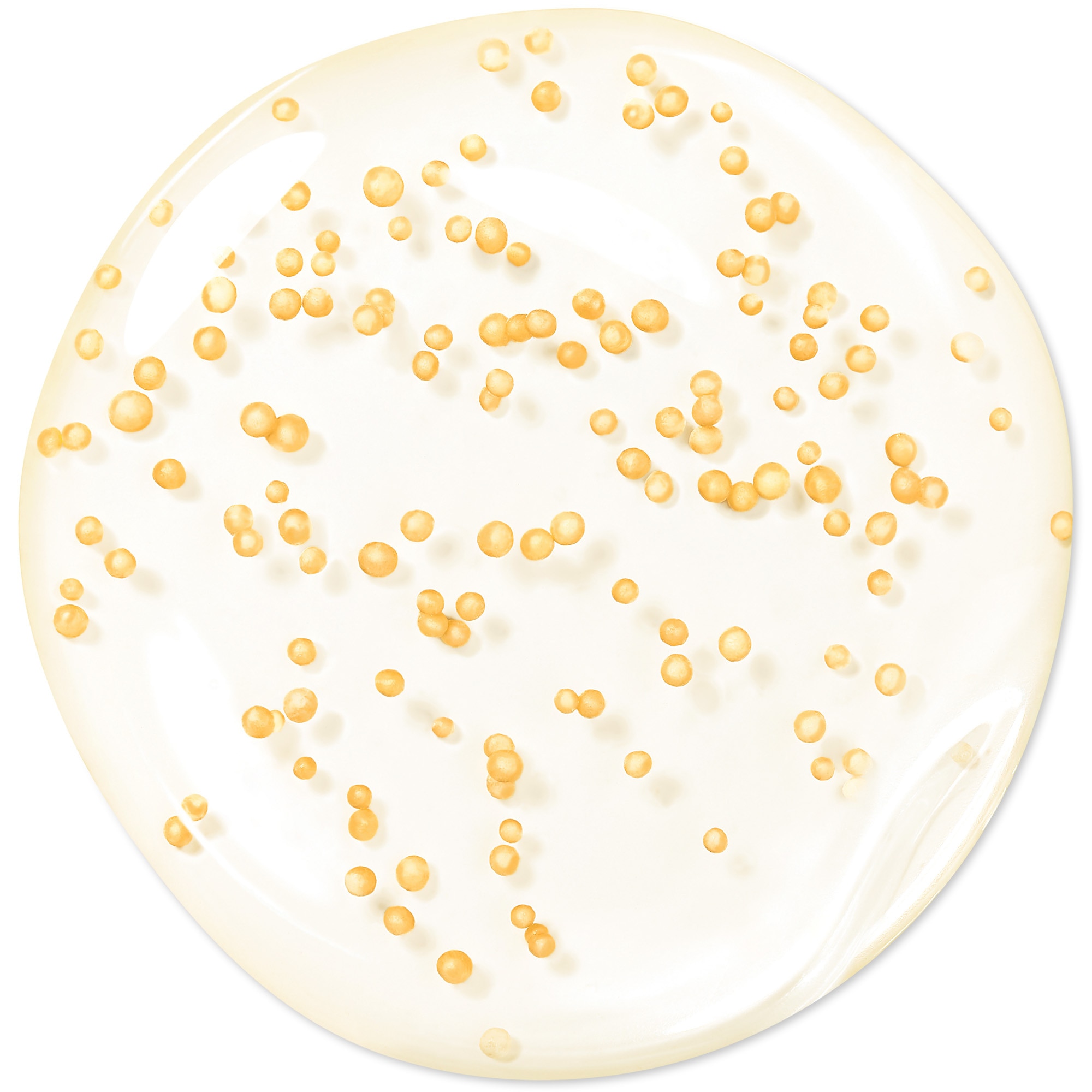 Hloubkově obnovující a omlazující sérum