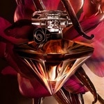 30 ML Lancôme LA NUIT TRÉSOR VANILLE NOIRE Parfémovaná voda pro ženy 7 of 7 Parfémovaná voda pro ženy