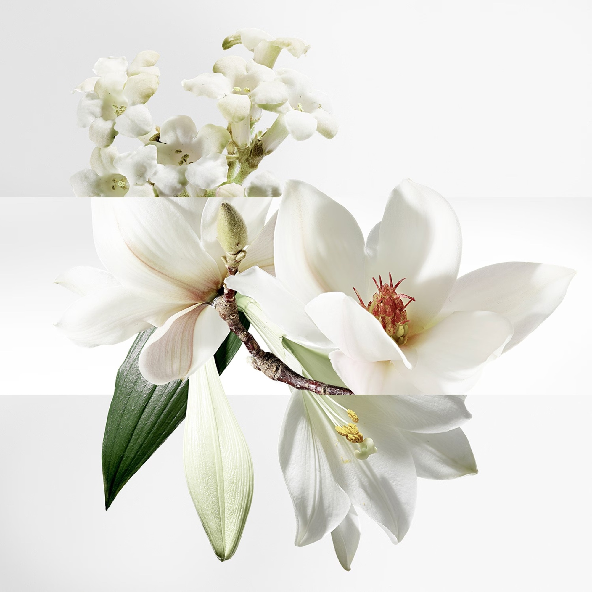 Toaletní voda unisex