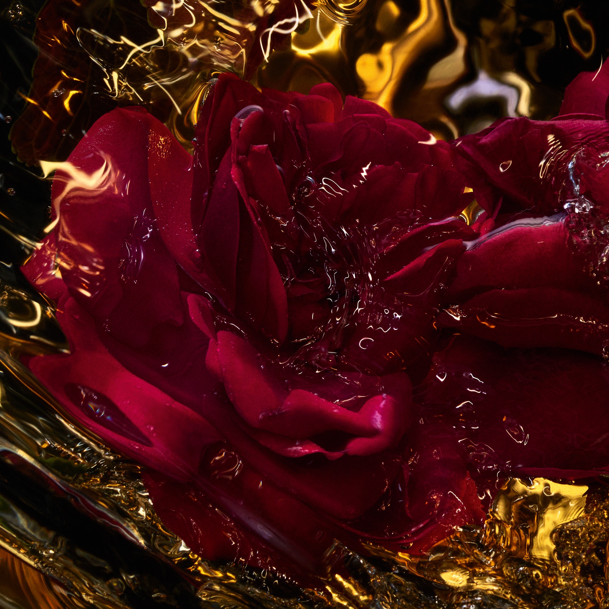 Parfémovaná voda unisex