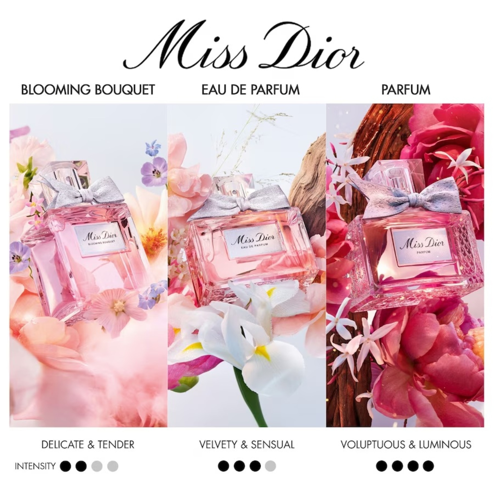 100 ML Dior MISS DIOR Blooming Bouquet toaletní voda 1 of 5