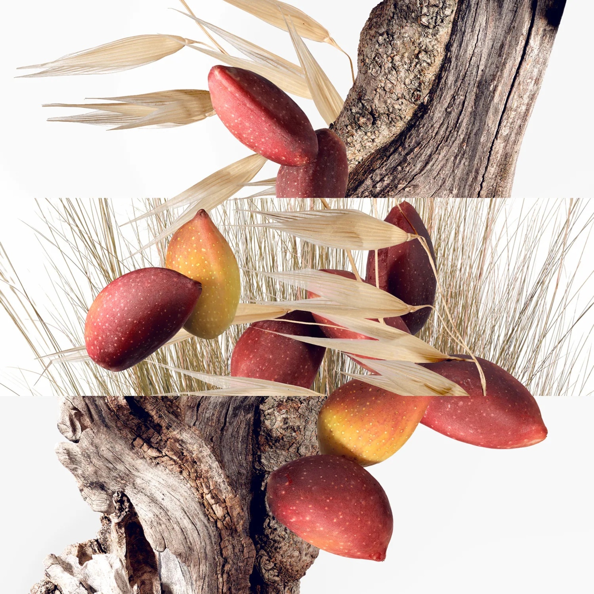 Parfémovaná voda unisex