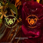75 ML GUERLAIN ABSOLUS ALLEGORIA TABAC SAHARA Parfémovaná voda  6 of 6 Parfémovaná voda
