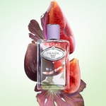 100 ML Prada LES INFUSION DE FIGUE Parfémovaná voda unisex 2 of 3 Parfémovaná voda unisex