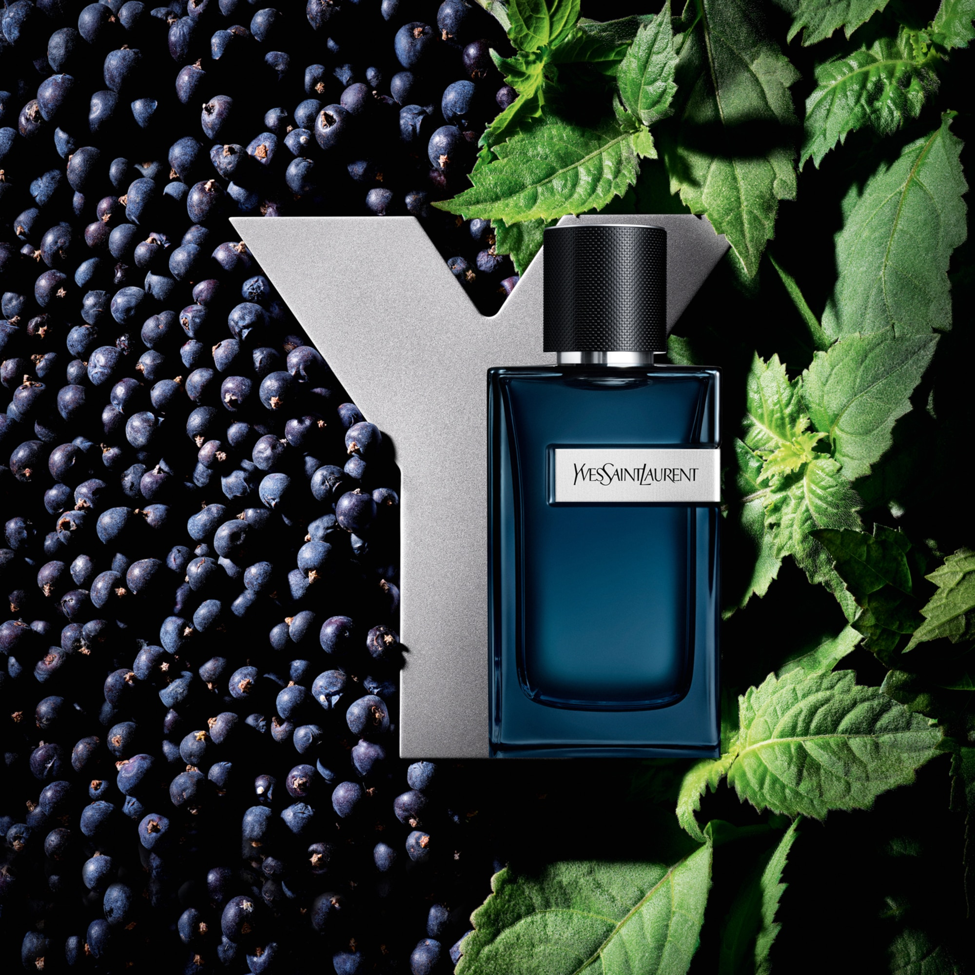 100 ML Yves Saint Laurent Y INETNSE Parfémovaná voda pro muže  1 of 3 