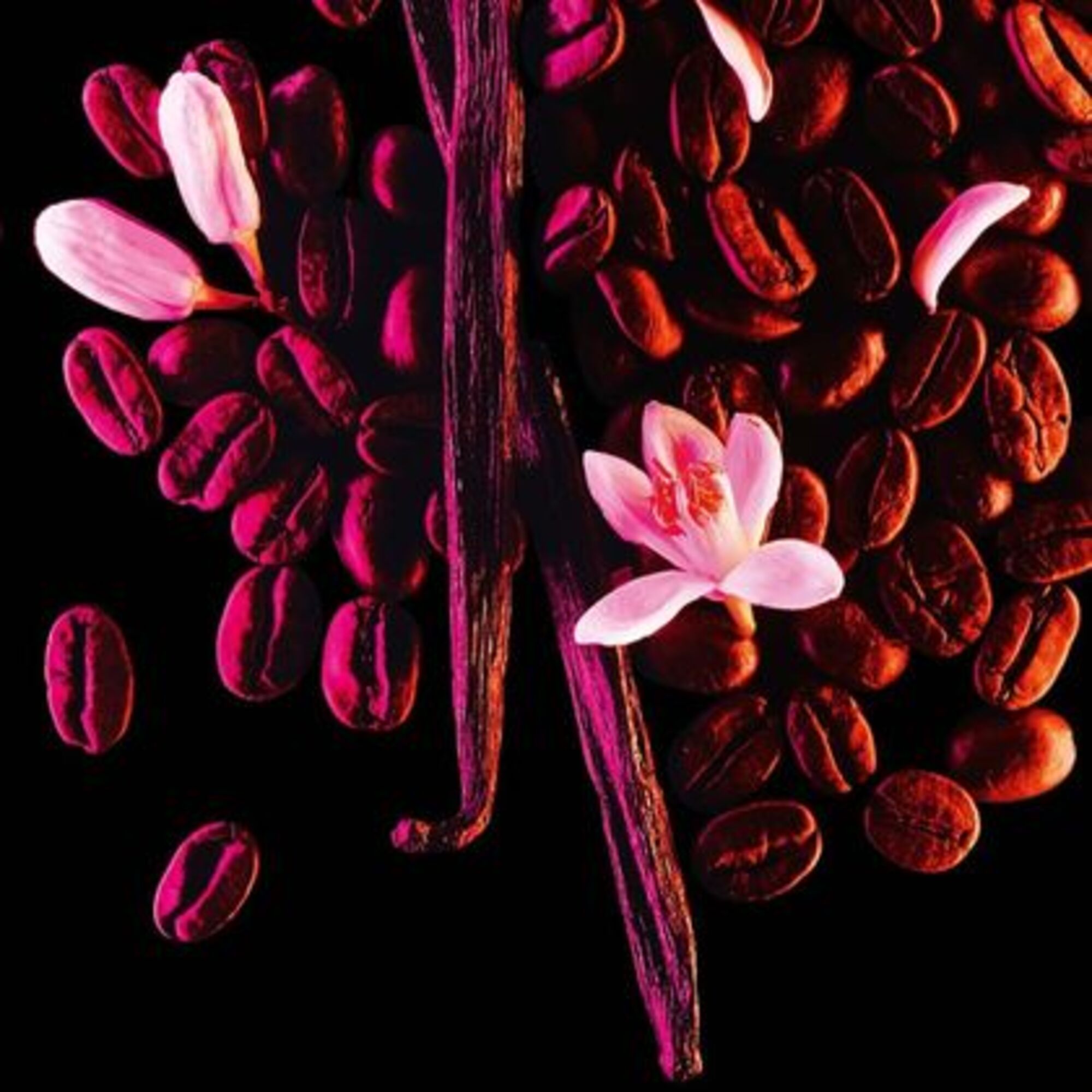 90 ML Yves Saint Laurent BLACK OPIUM Parfémovaná voda pro ženy  1 of 3 