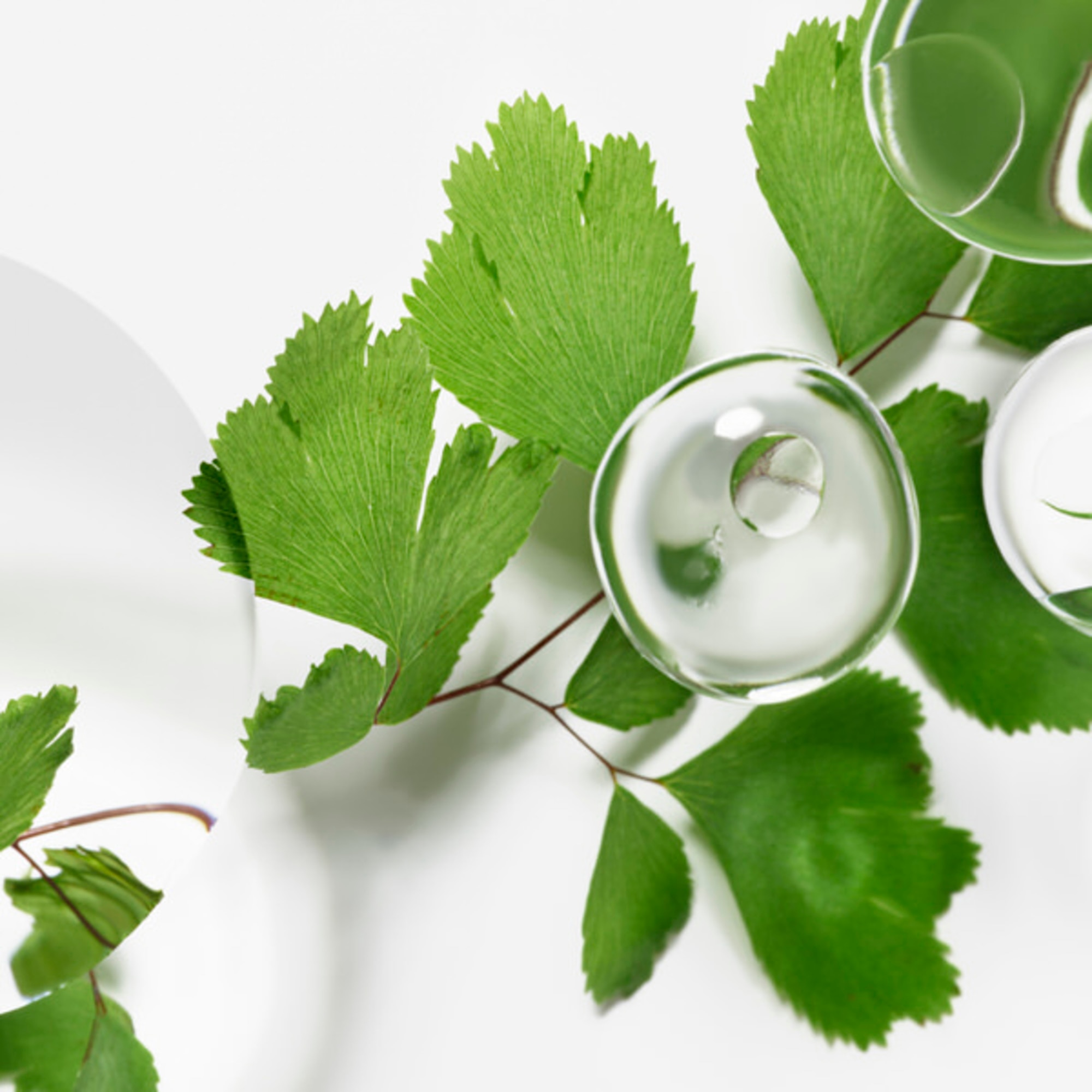 SIS ECOLOGICAL COMPOUND ADVANCED FORMULA 60 ML