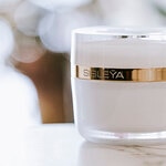 50 ML Sisley SISLEŸA L'INTEGRAL Denní a noční krém proti vráskám pro suchou pleť 4 of 7 Denní a noční krém proti vráskám pro suchou pleť