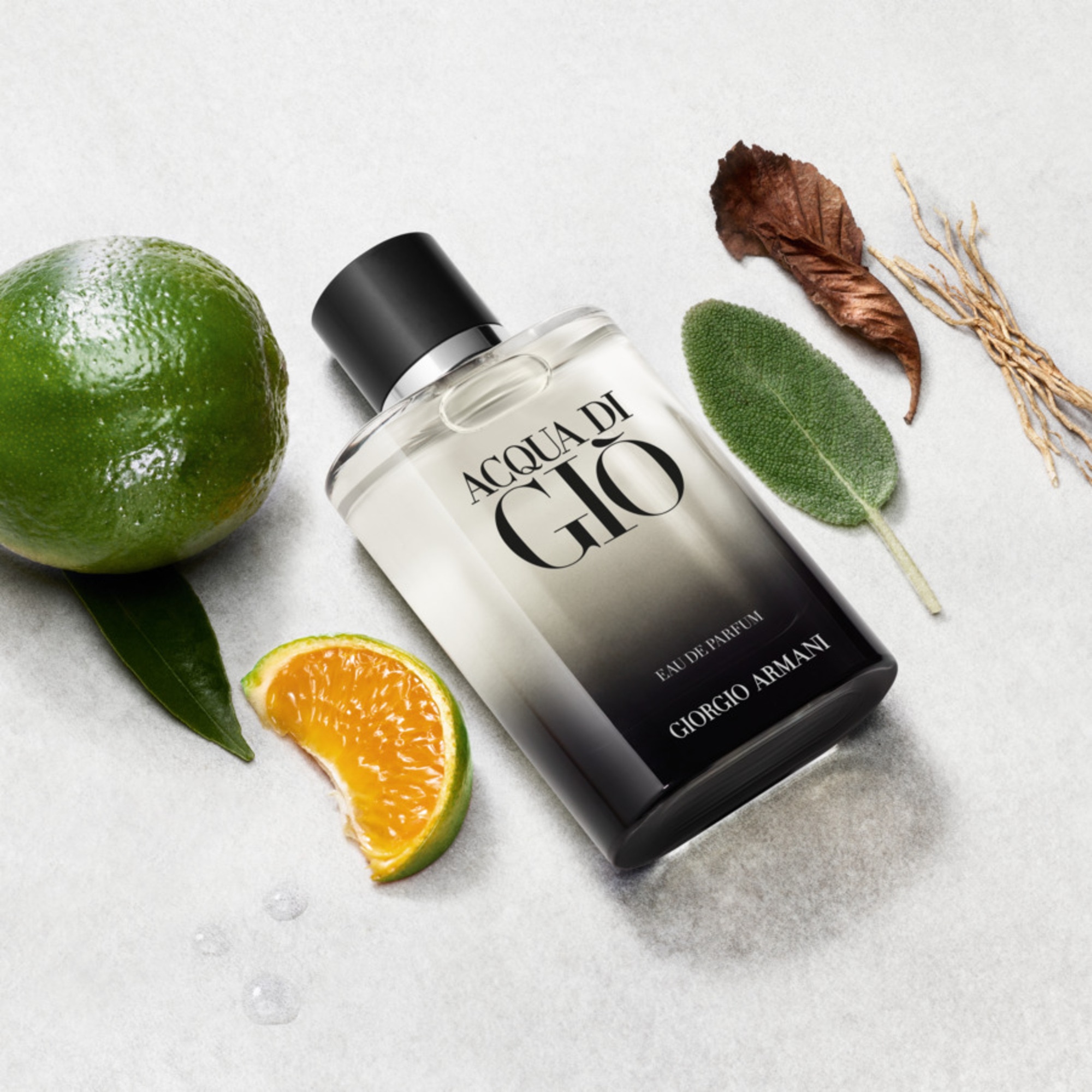 100 ML Armani ACQUA DI GIÒ EAU DE PARFUM Parfémovaná voda pro muže 1 of 3
