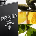 100 ML Prada PRADA L'HOMME INTENSE Parfémovaná voda pro muže  2 of 3 Parfémovaná voda pro muže