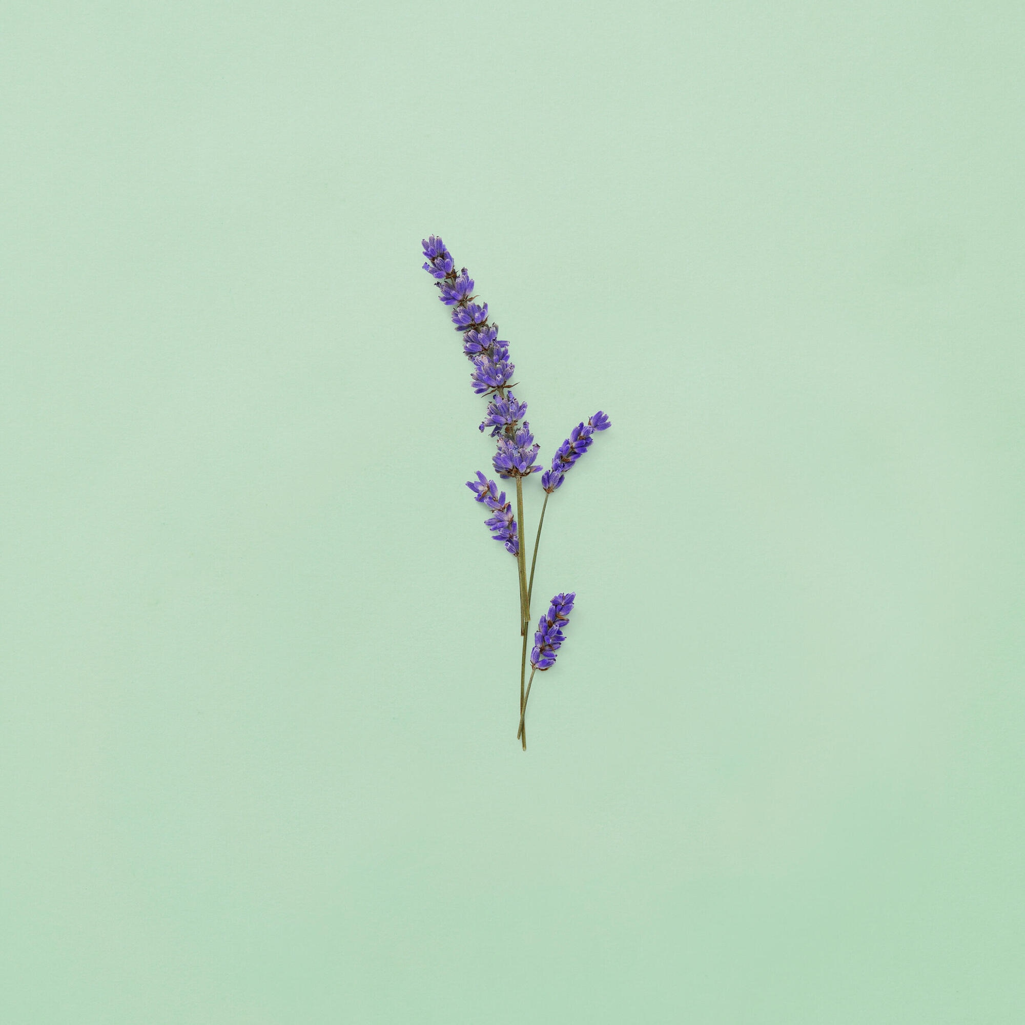 Toaletní voda pro muže