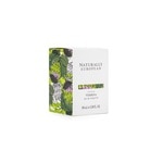 100 ML SOMERSET VERBENA Toaletní voda 2 of 3 Toaletní voda