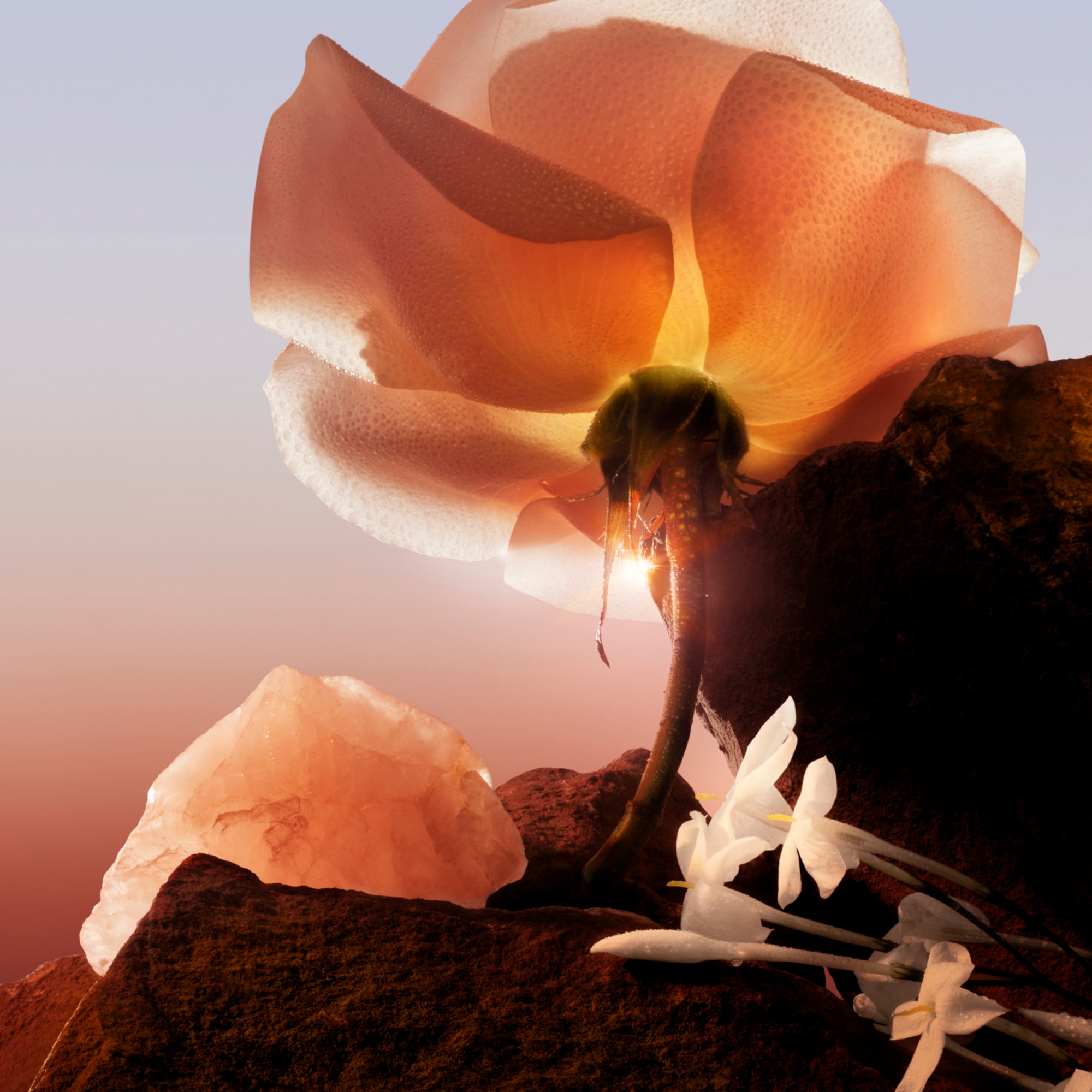 Parfémovaná voda pro ženy