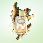 100 ML Prada INFUSION DE GINGEMBRE Parfémovaná voda  2 of 3 Parfémovaná voda