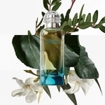 50 ML Hermès UN JARDIN EN MÉDITERRANÉE Toaletní voda unisex  2 of 4 Toaletní voda unisex