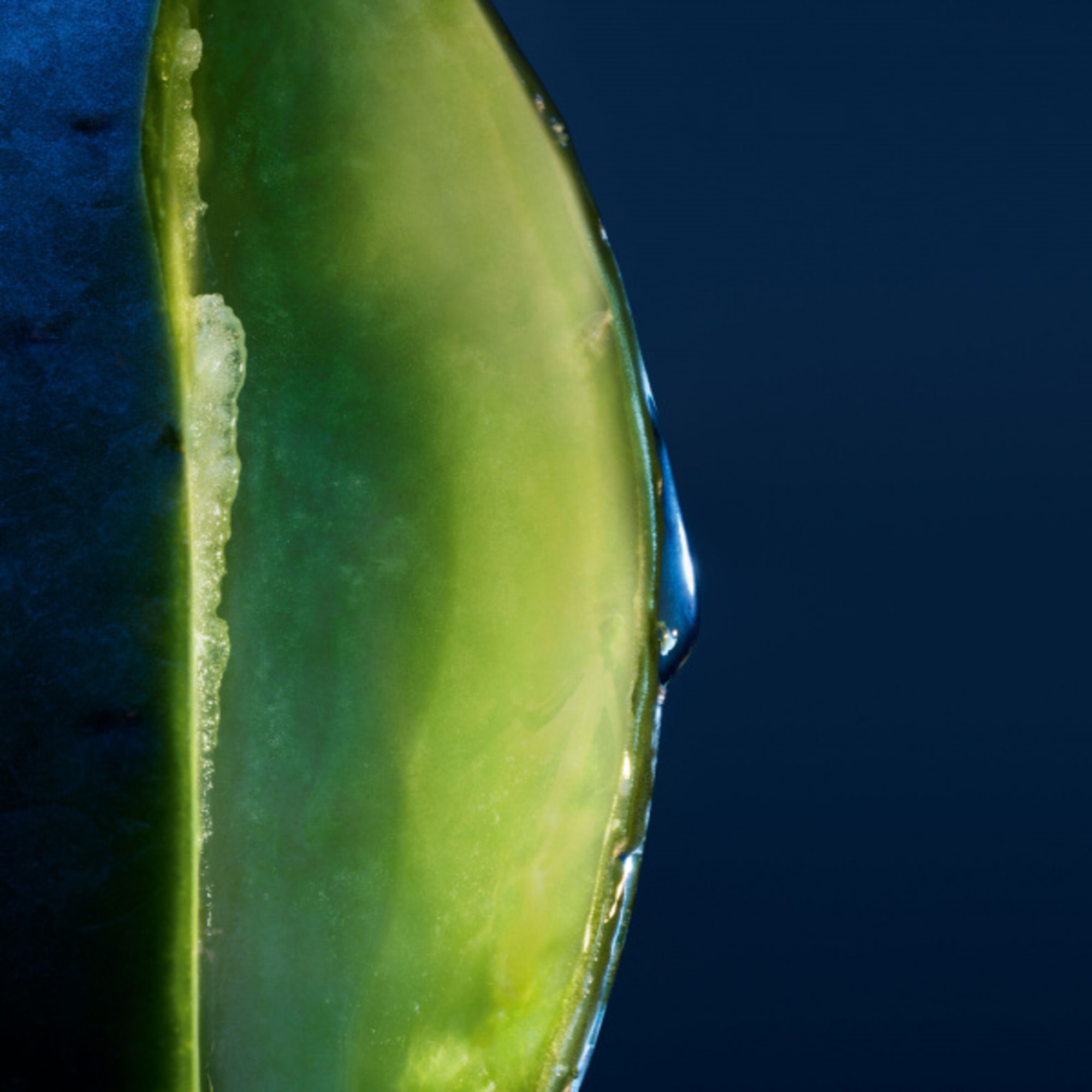 Hydratační šampon