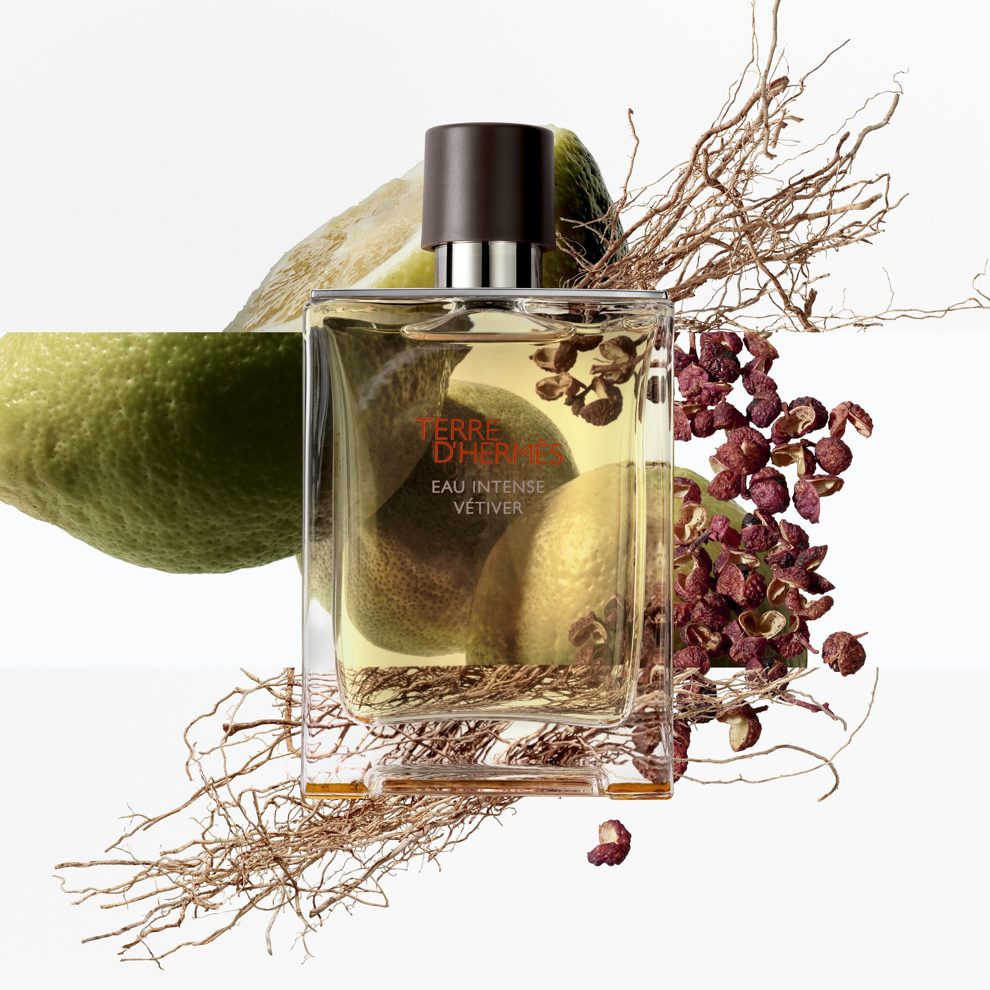 50 ML Hermès TERRE D´HERMÈS EAU INTENSE VÉTIVER Parfémovaná voda pro muže  2 of 4 Parfémovaná voda pro muže