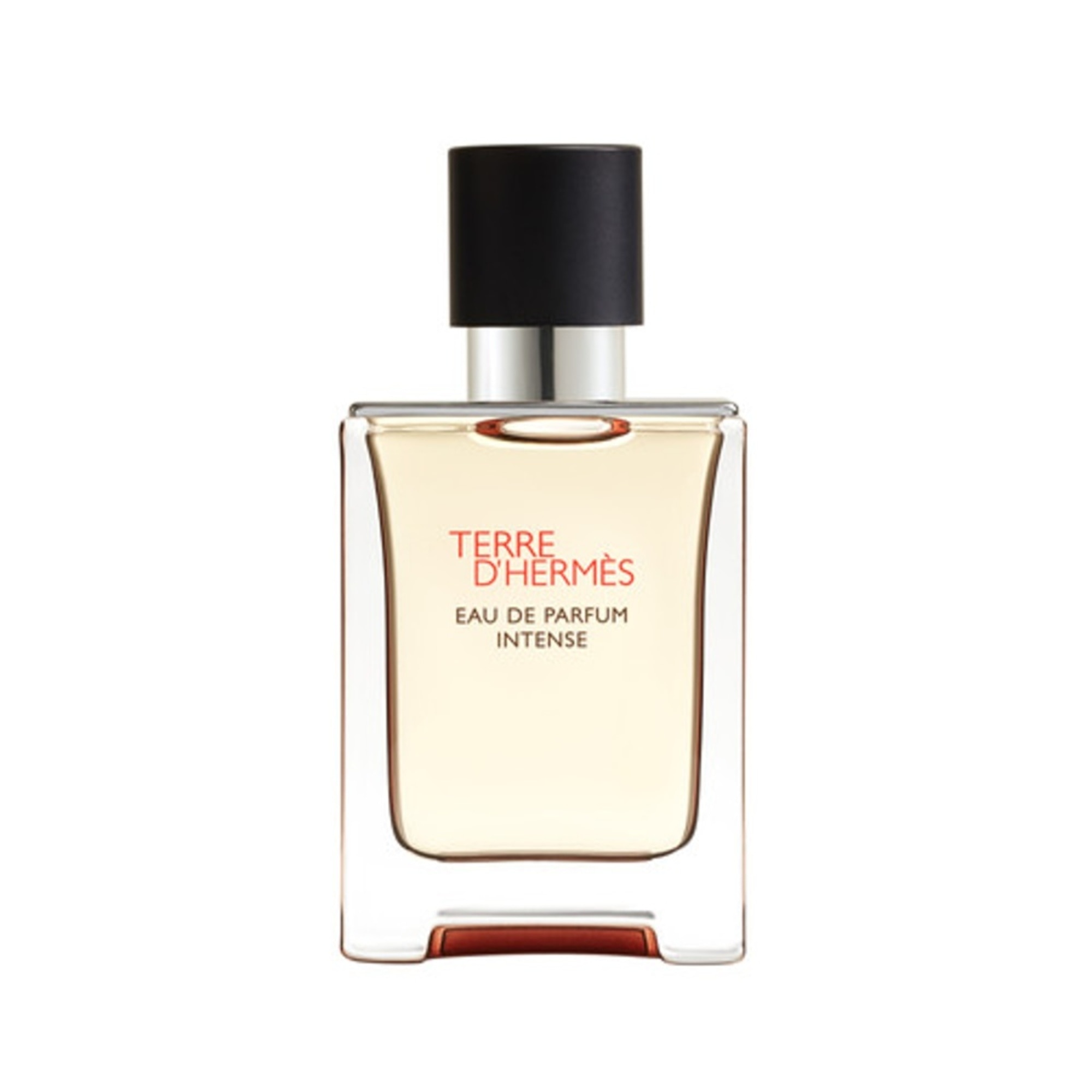100 ML Hermès TERRE D'HERMÈS INTENSE Parfémovaná voda  Parfémovaná voda