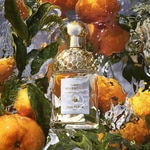 40 ML GUERLAIN AQUA ALLEGORIA MANDARINE BASILIC Toaletní voda 3 of 5 Toaletní voda