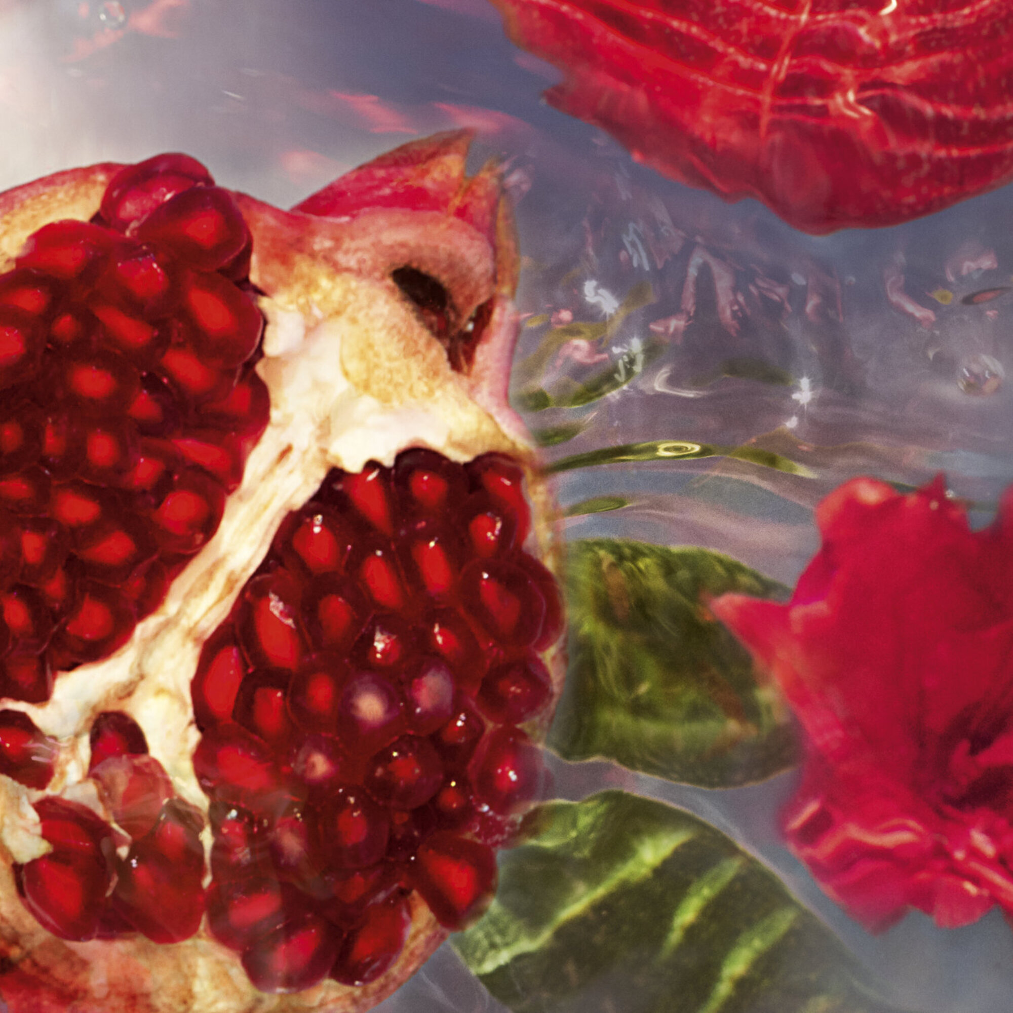 GUE AA GRANADA SALVIA EDT R/SPR 75ML