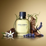 75 ML Dolce & Gabbana POUR HOMME Toaletní voda 2 of 3 Toaletní voda