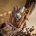 50 ML Dolce & Gabbana DEVOTION FOR MEN PARFUM Parfém 2 of 4 Parfém