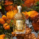 75 ML GUERLAIN AQUA ALLEGORIA MANDARINE BASILIC FORTE GUE AA MANDARINE BASILIC FORTE EDP R/SPR 75ML 3 of 4 GUE AA MANDARINE BASILIC FORTE EDP R/SPR 75ML